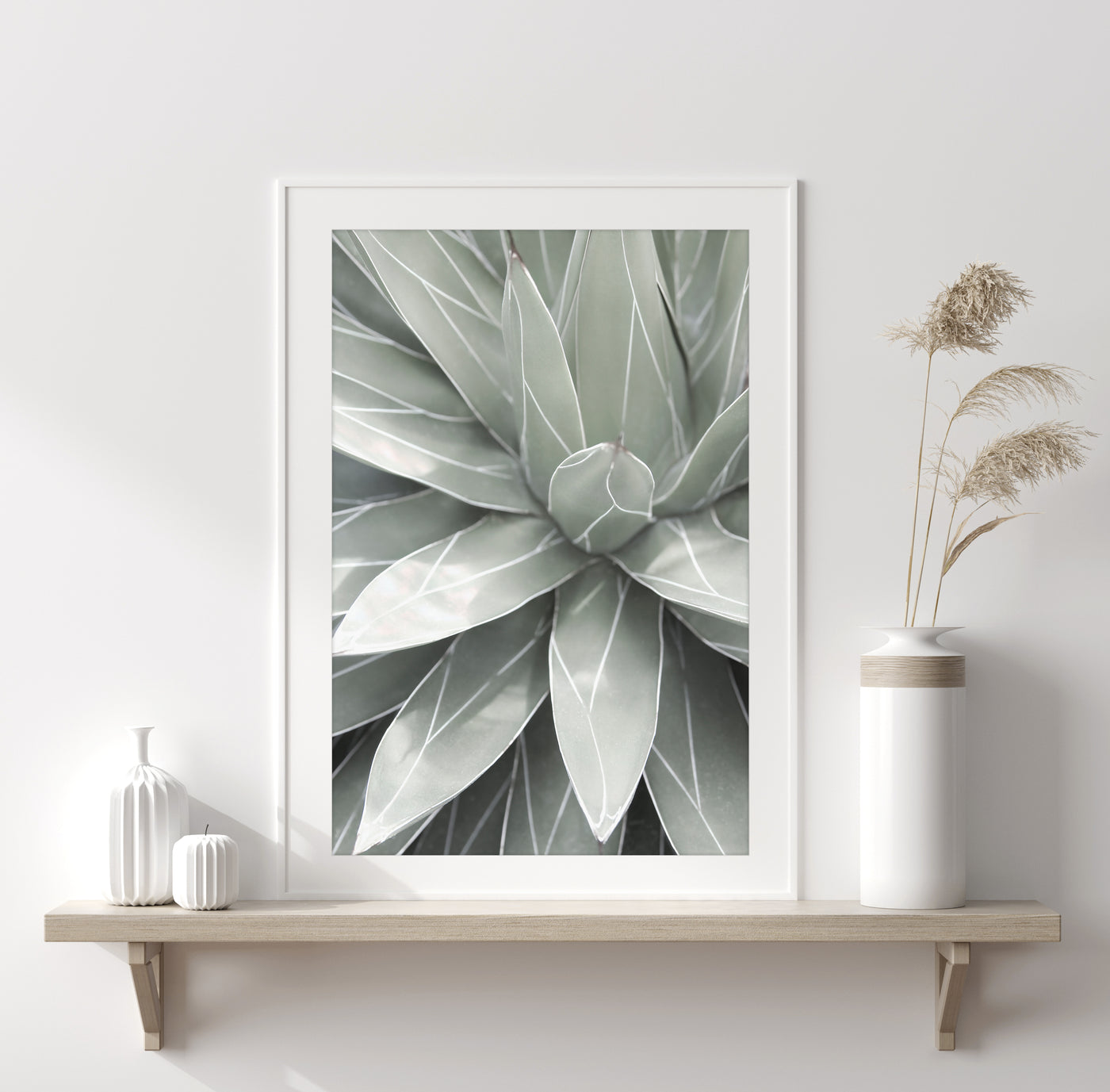 Queen Victoria Agave - Succulent Art Print by Cattie Coyle Photography