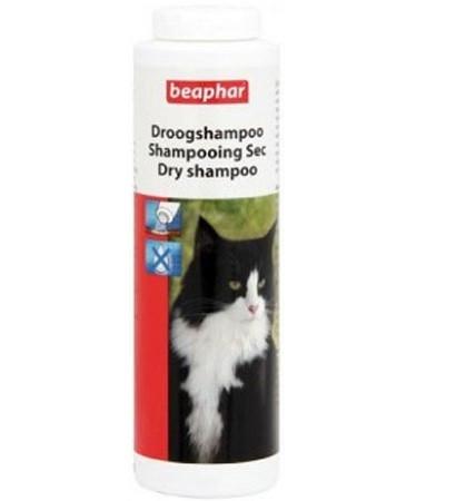 dry shampoo for cats