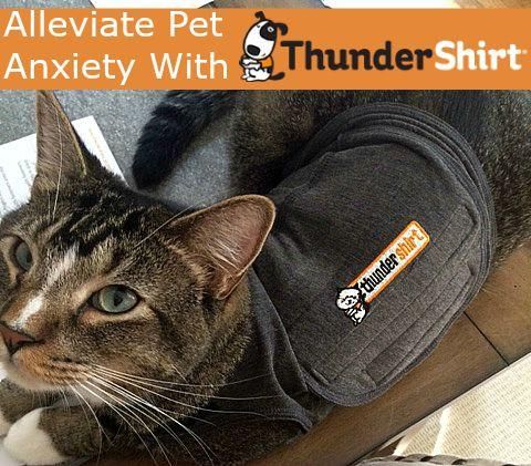 thundershirt for cats