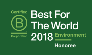 Best For The World 2018 Environment