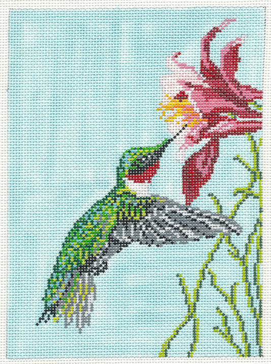 Gorgeous Hummingbird in a Santa Hat HP 18 mesh Needlepoint Canvas Scott  Church