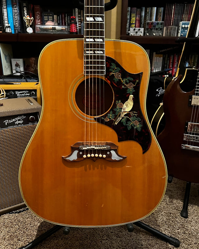 Picture of 1964 Gibson Dove