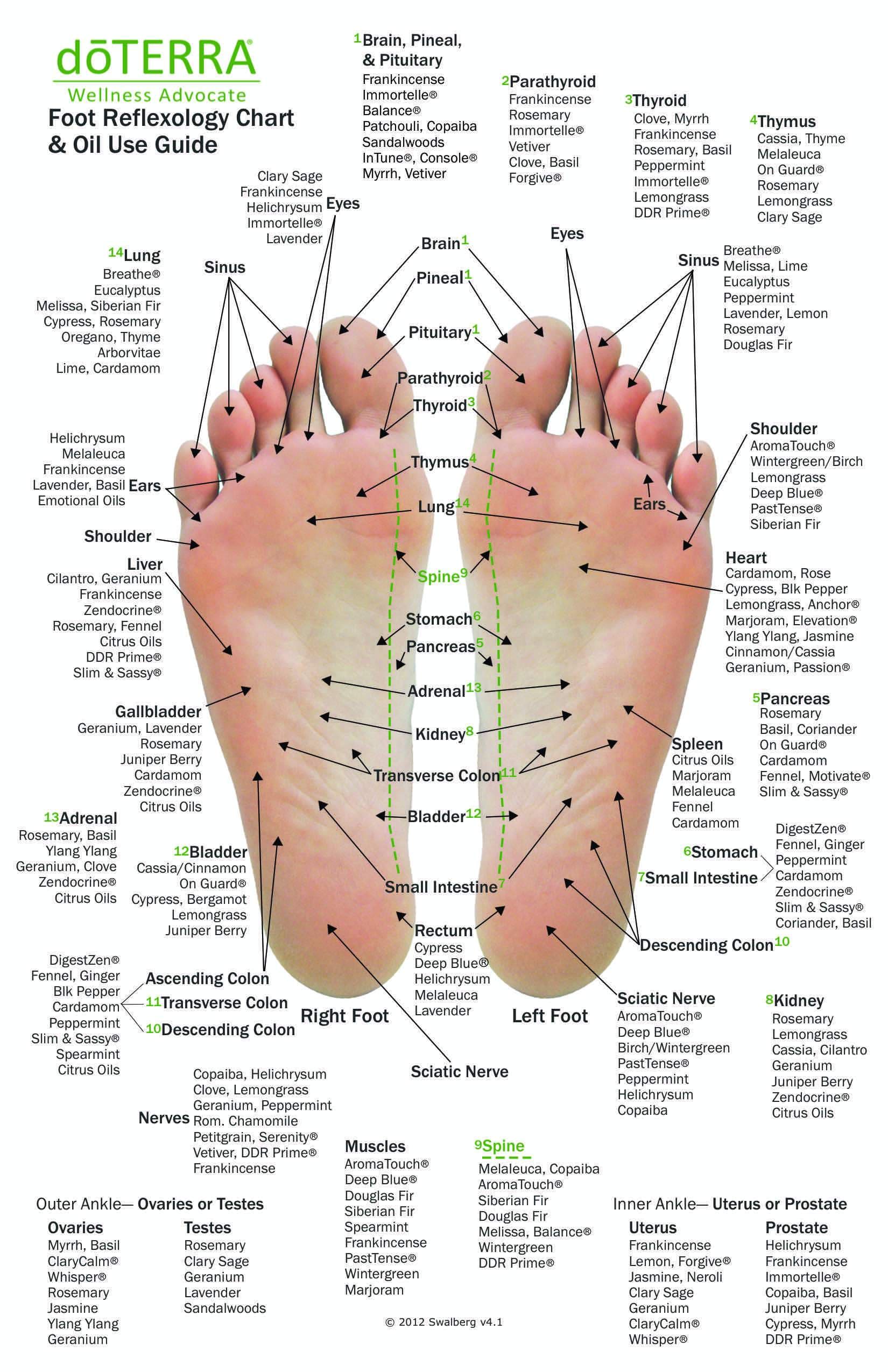 Foot Hand Reflexology Chart