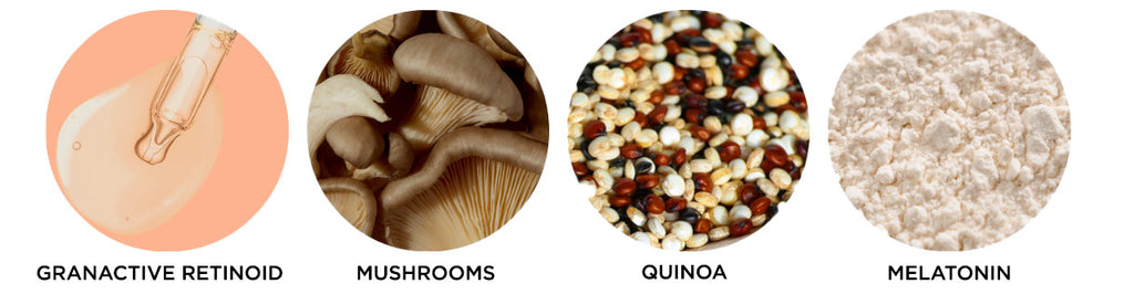 granactive retinoid, mushrooms, quinoa, melatonin