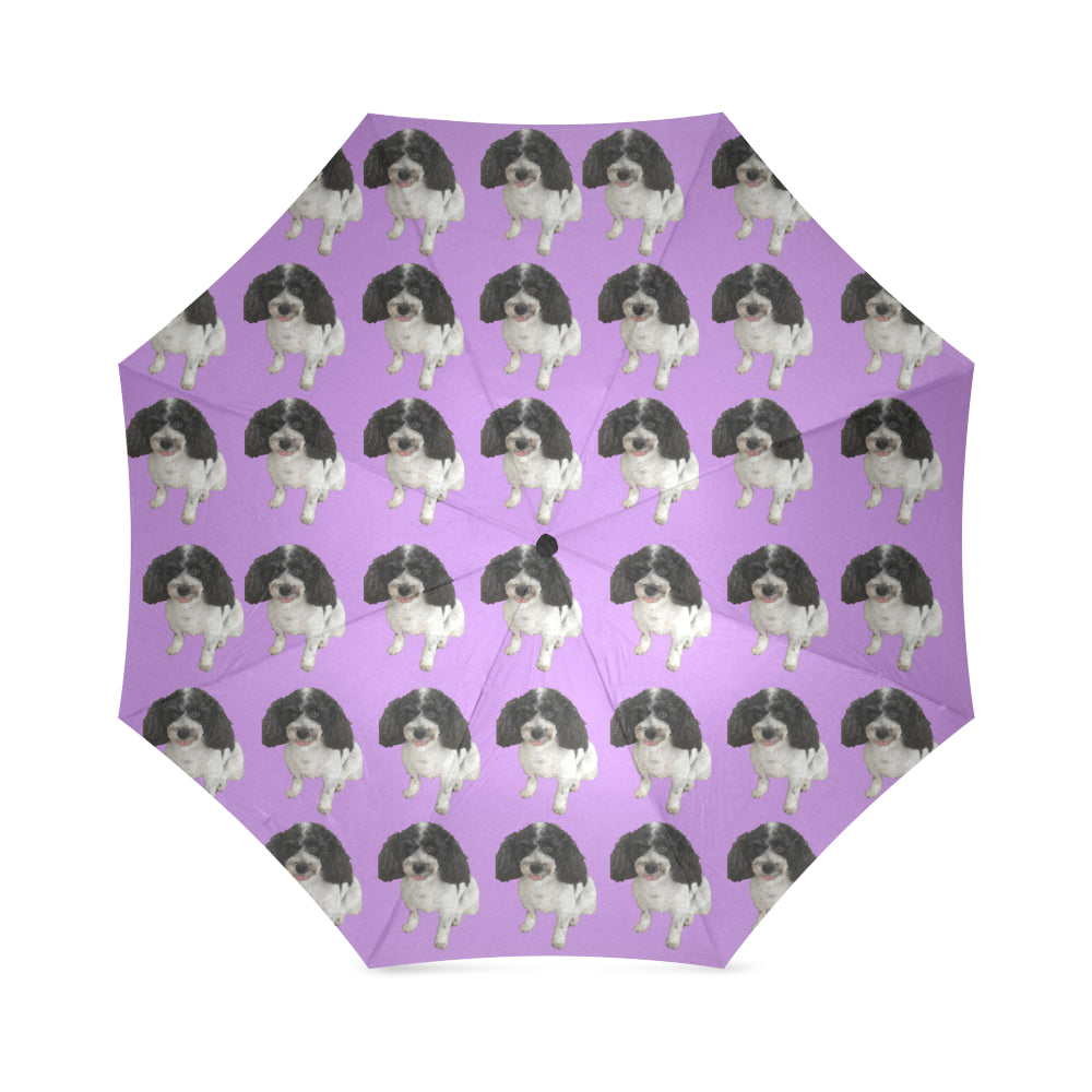 Cavapoo Umbrella 2 - Cathy Ann's Deals