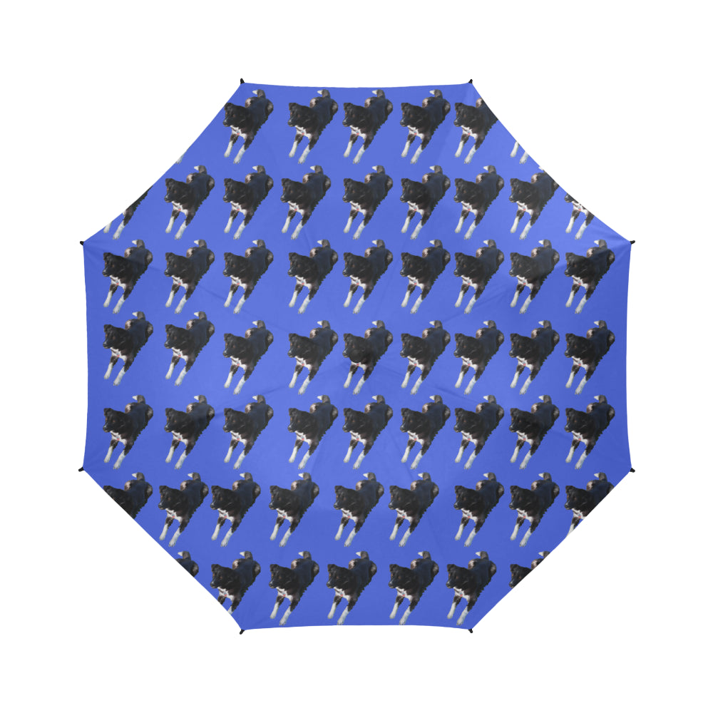 Border Collie Husky Mix Umbrella - Cathy Ann's Deals