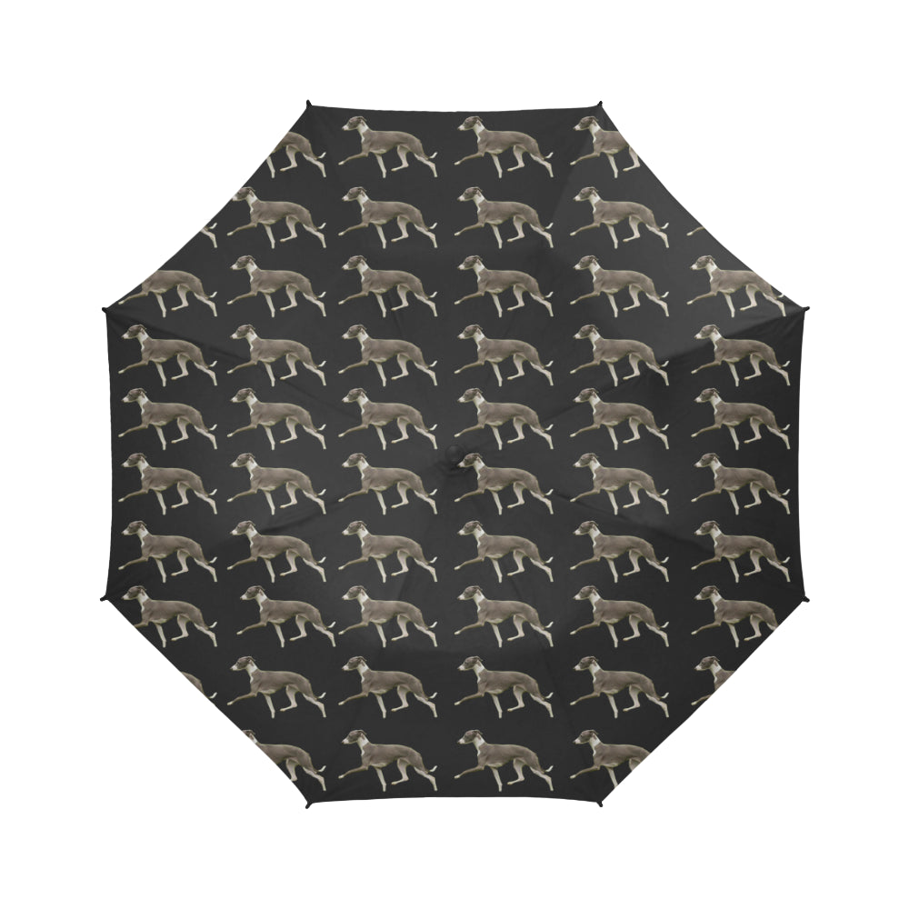 Italian Greyhound Umbrella - Semi Automatic