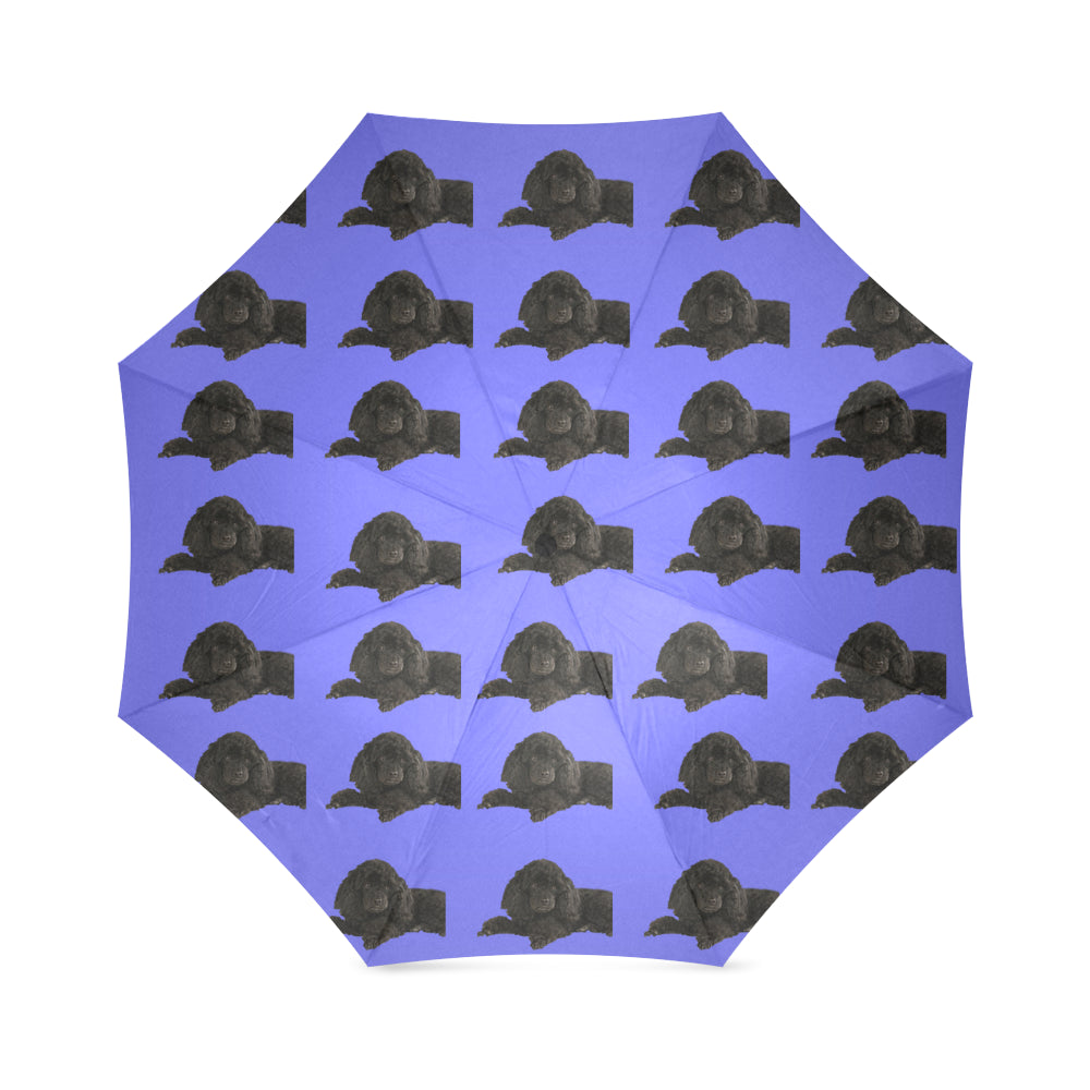 Poodle Umbrella - Black Toy Poodle - Cathy Ann's Deals