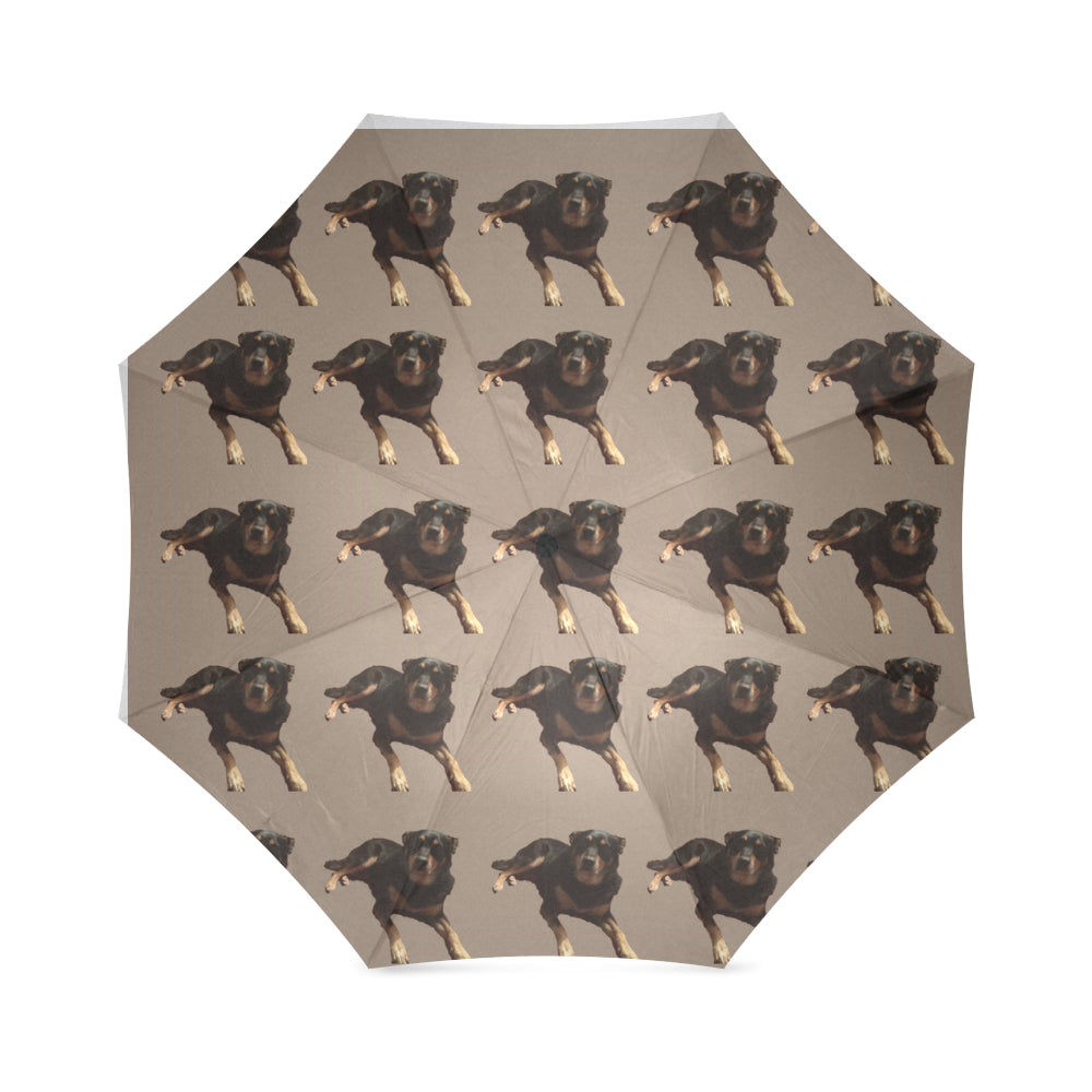 Australian Kelpie Umbrella - Cathy Ann's Deals