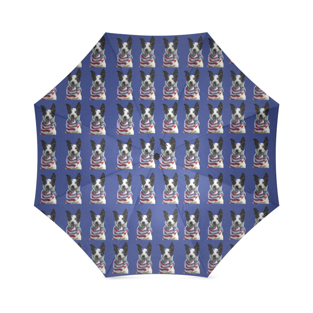 Cattle Border Collie Umbrella - Cathy Ann's Deals