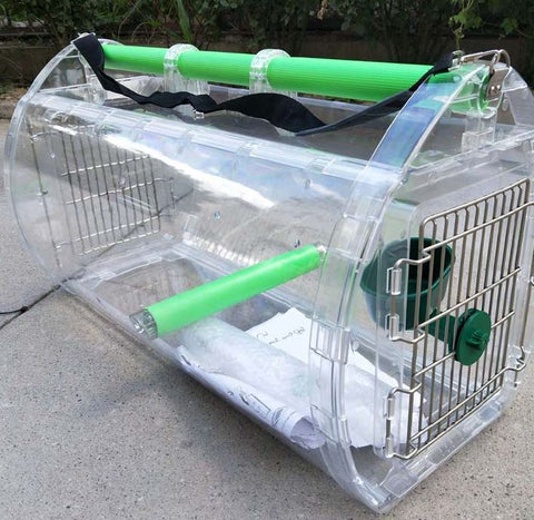 macaw transport cage