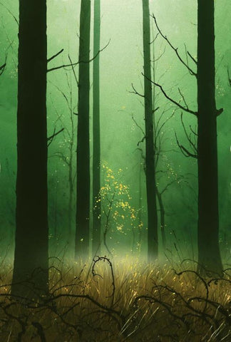 Forest (Unhinged) art - MoxLand