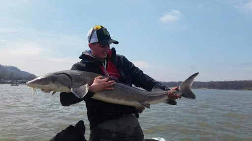 the fisherman holds sturgeon by hands