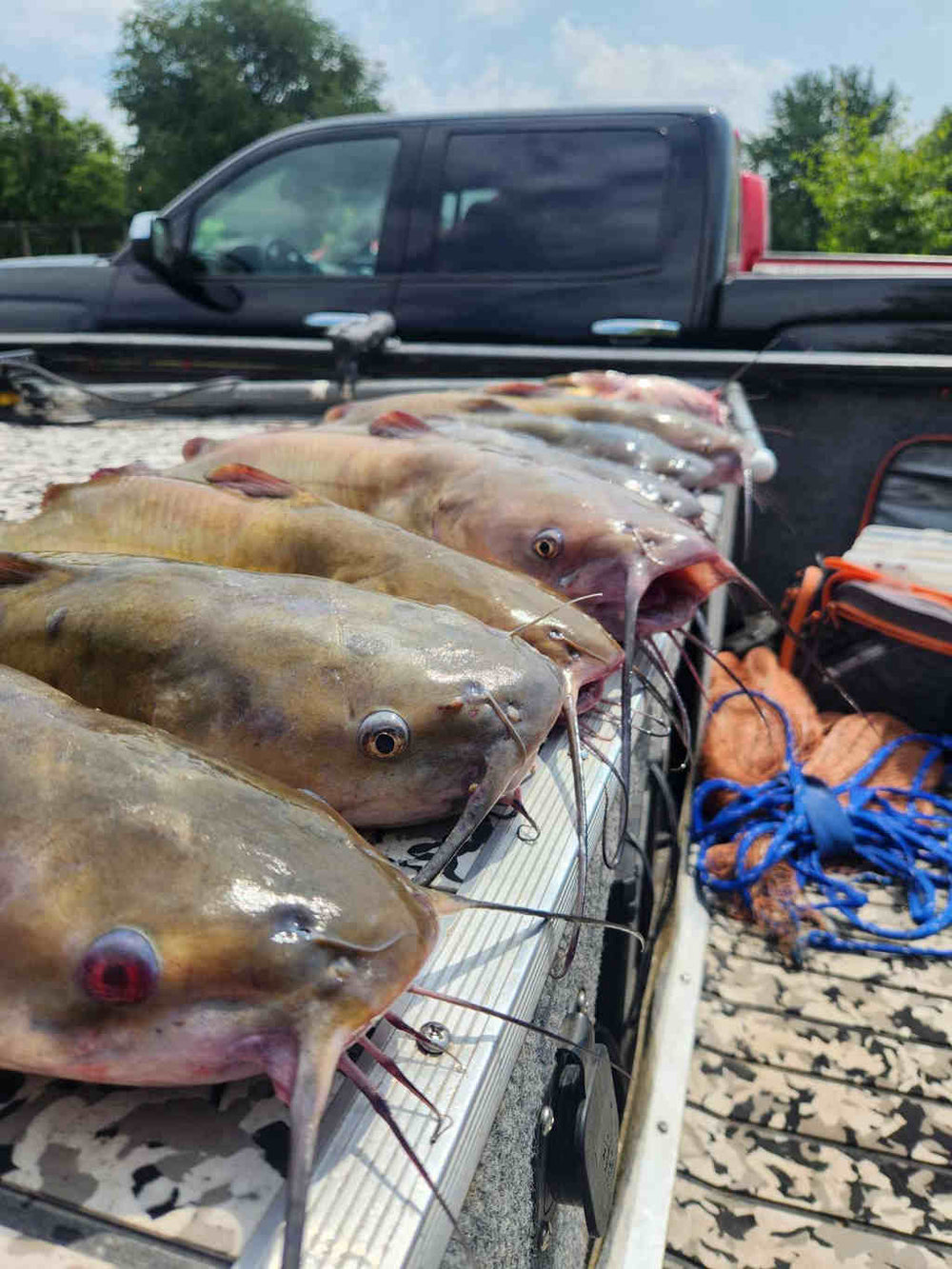 Fall Channel Catfish Tactics - In-Fisherman