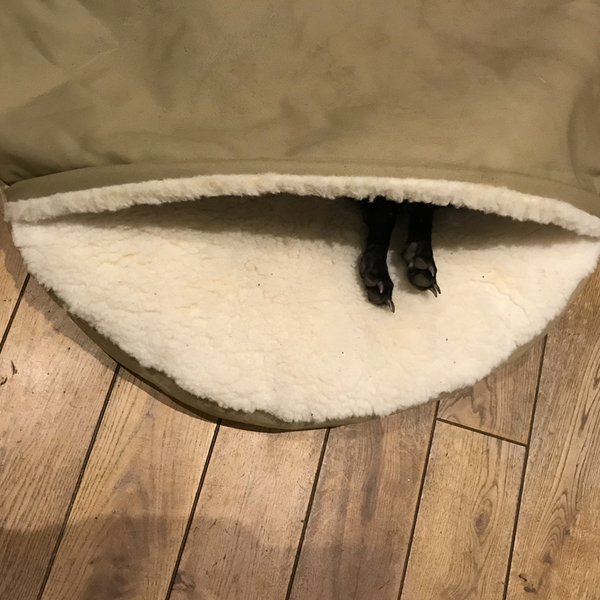 Snoozer Cozy Cave Dog Bed