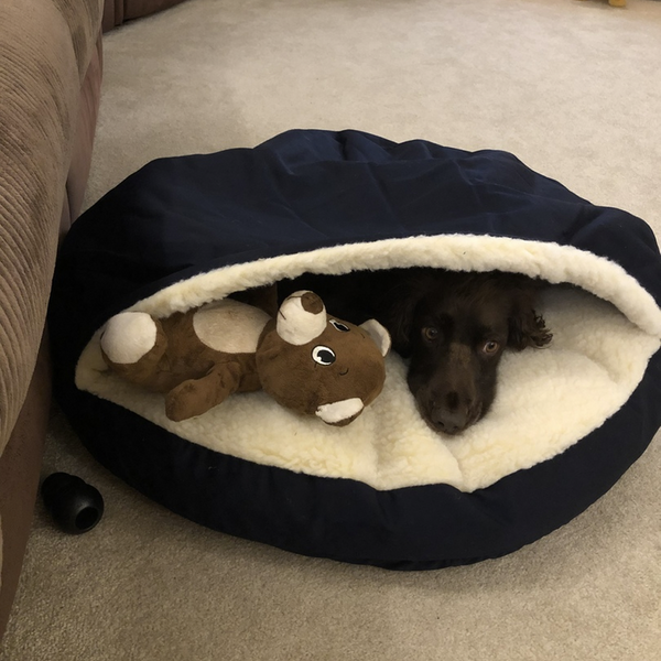 Snoozer Cozy Cave Dog Bed