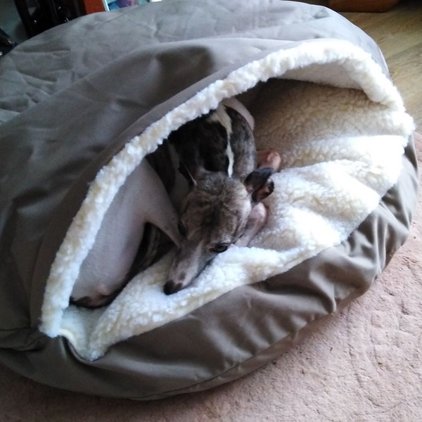 Snoozer Cozy Cave Dog Bed