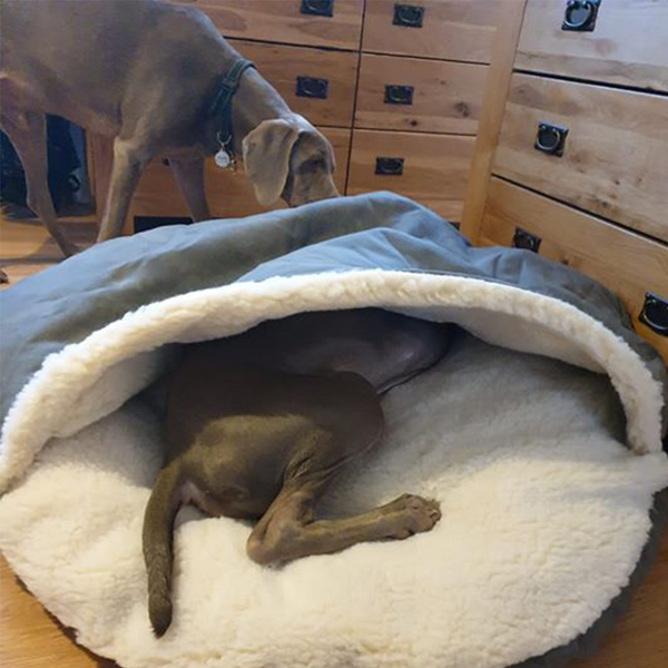 Snoozer Cozy Cave Dog Bed