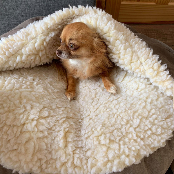 Snoozer Cozy Cave Dog Bed