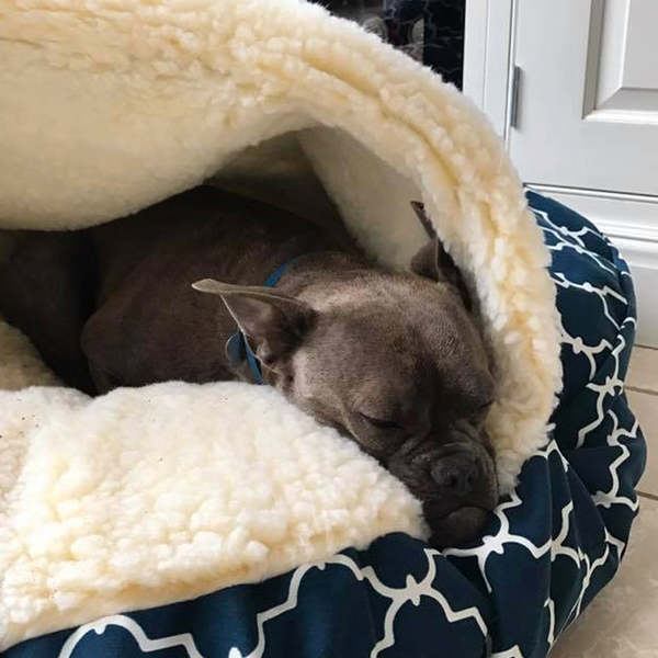 Snoozer Cozy Cave Dog Bed