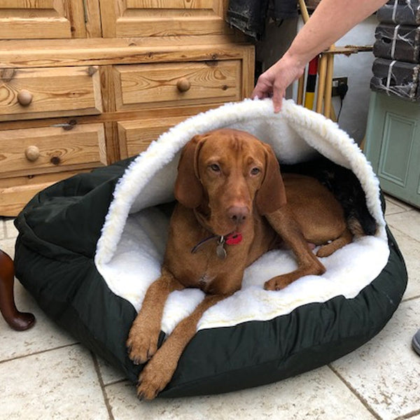 Snoozer Cozy Cave Dog Bed