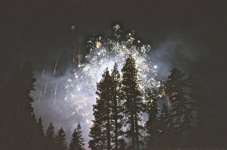 fireworks over trees