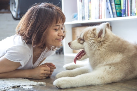 young girl and puppy