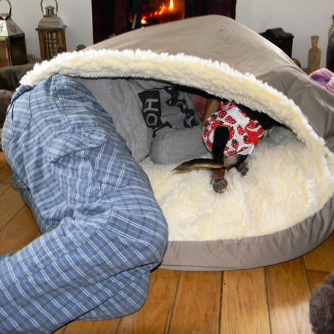 Snoozer Cozy Cave Dog Bed