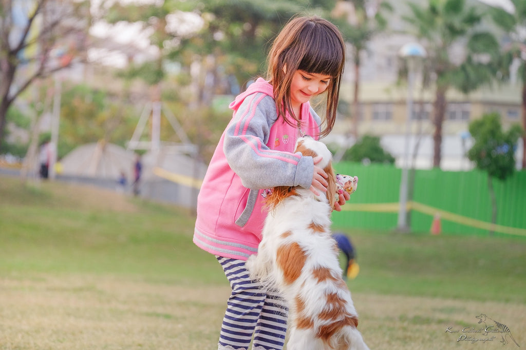 puppy and girl