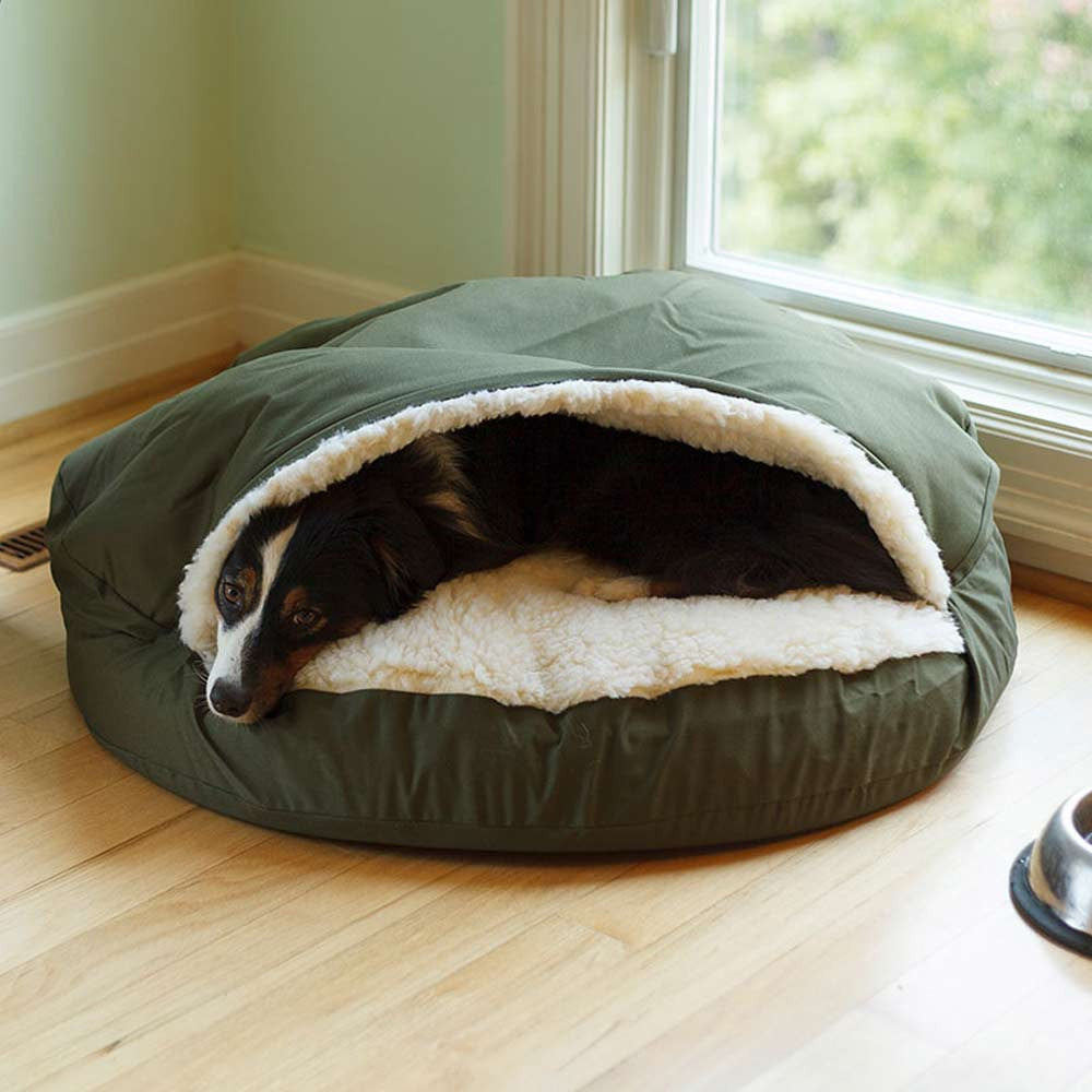 dog beds uk