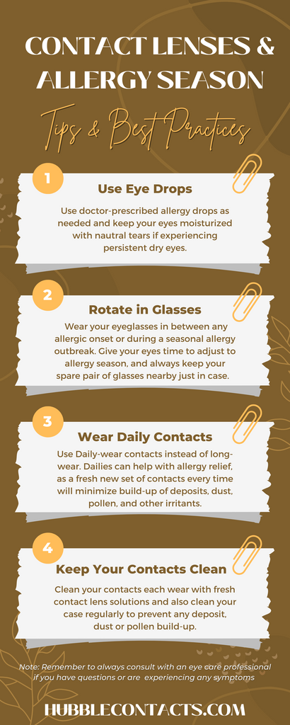 Contact Lenses and Allergies: What You Need to Know Infographic