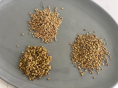 Spices 101: Three Options for Grinding Spices
