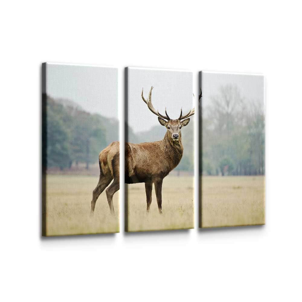 Elk Wall Art