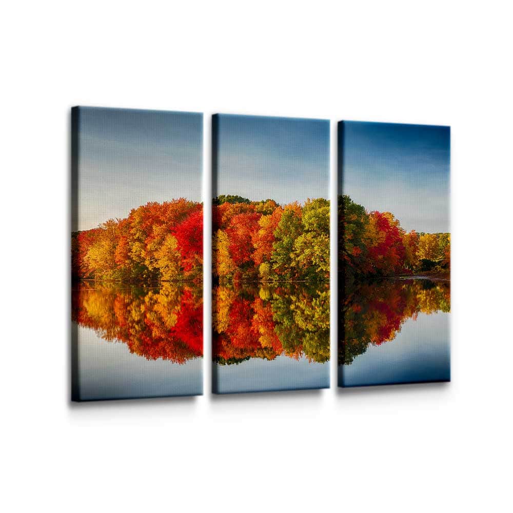 Autumn's Trees Wall Art
