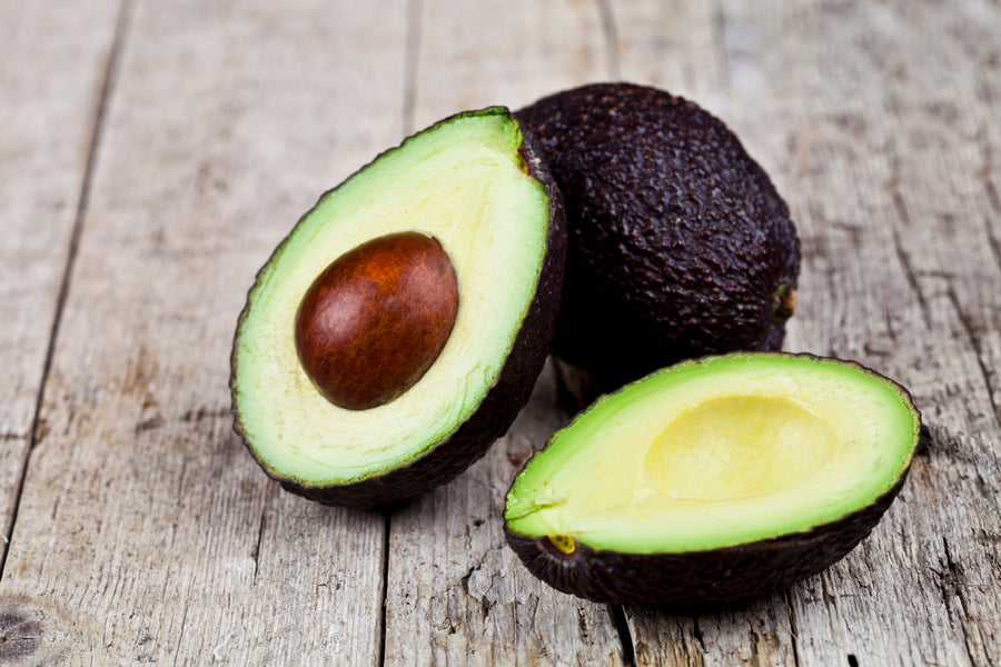 plant based diet lower cholesterol avocado