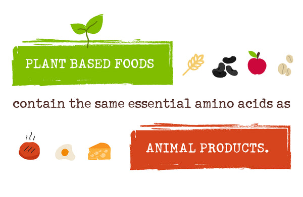 animal protein vs plant-based protein