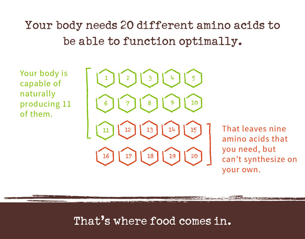 Amino Acids