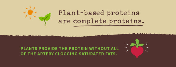 plant-based complete protein 