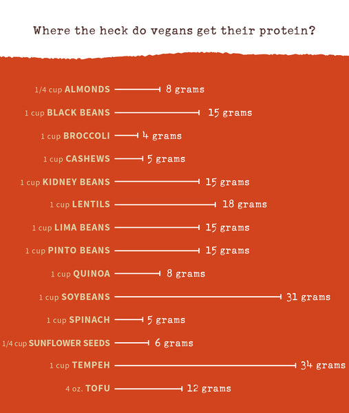 Whole-Food Plant-Based Diet: How Do Vegans Get Protein? – MamaSezz