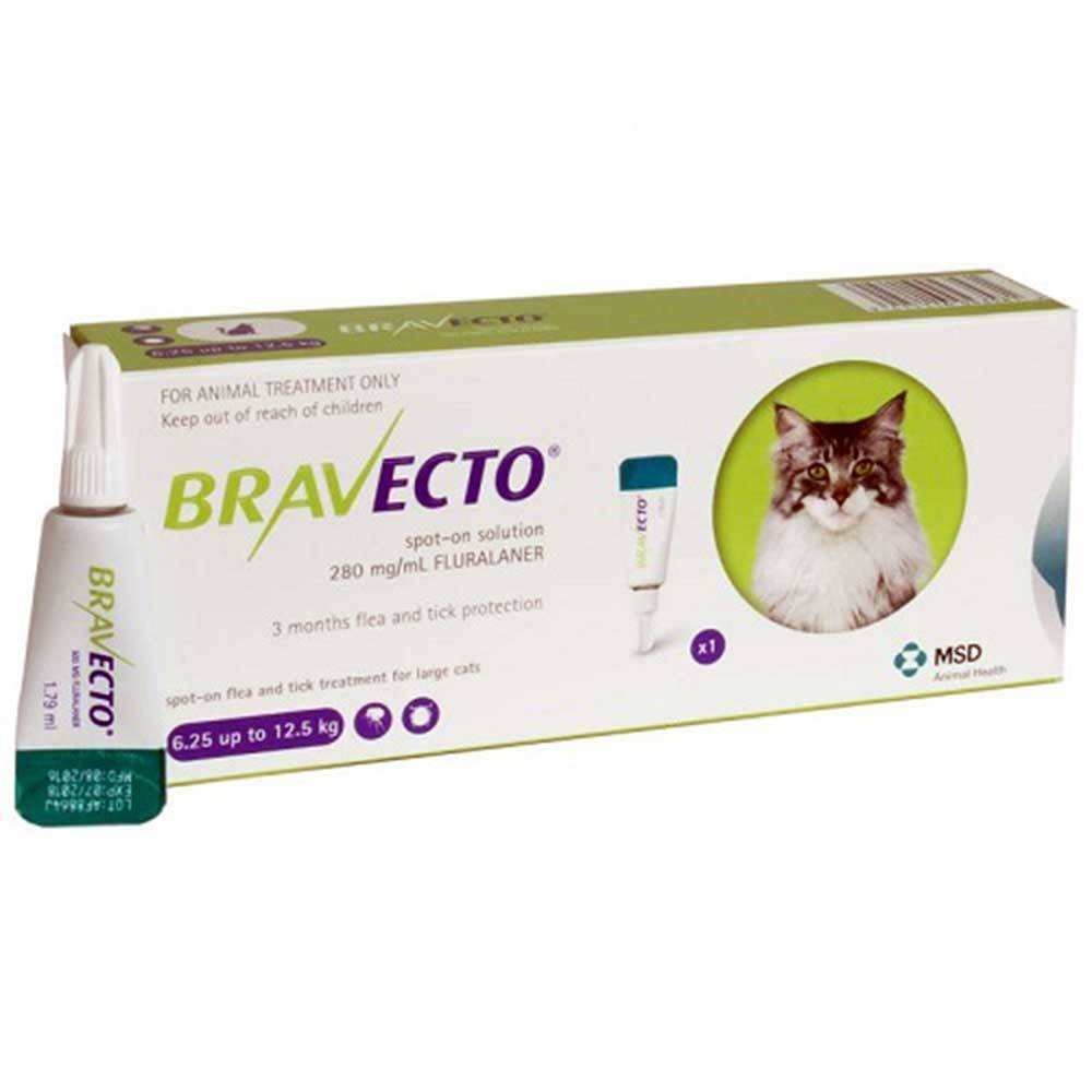 Bravecto Plus For Cats Unitedpetworld Com Unitedpetworld