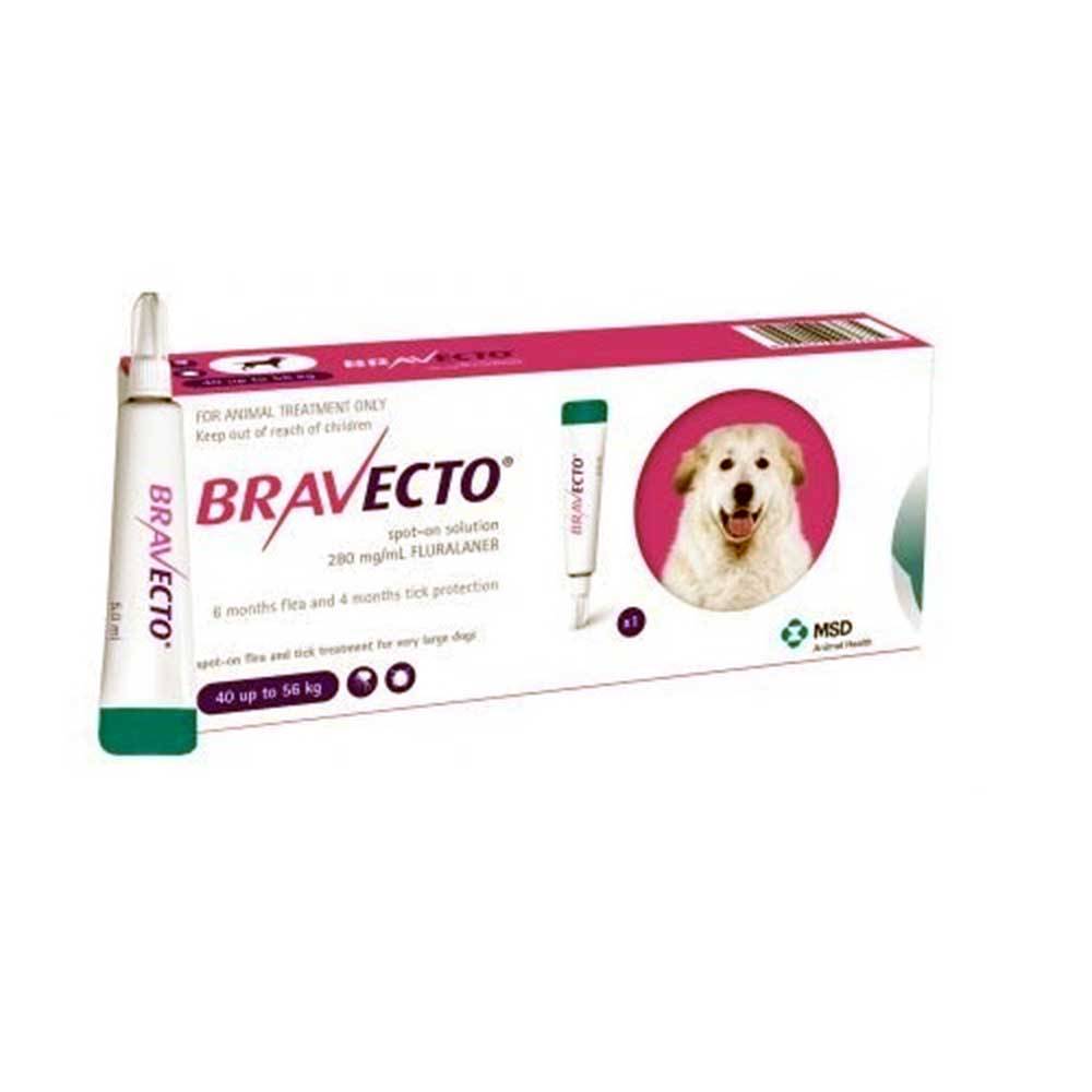 Bravecto Plus For Cats Unitedpetworld Com Unitedpetworld