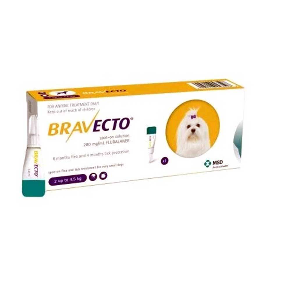 Bravecto Plus For Cats Unitedpetworld Com Unitedpetworld