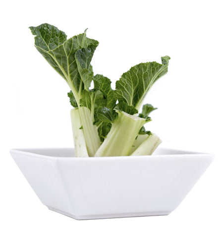 pak-choi-grow-home