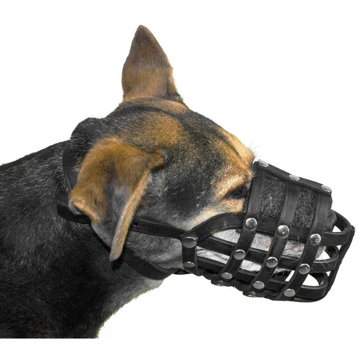 leather basket muzzle