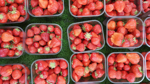 strawberry in season