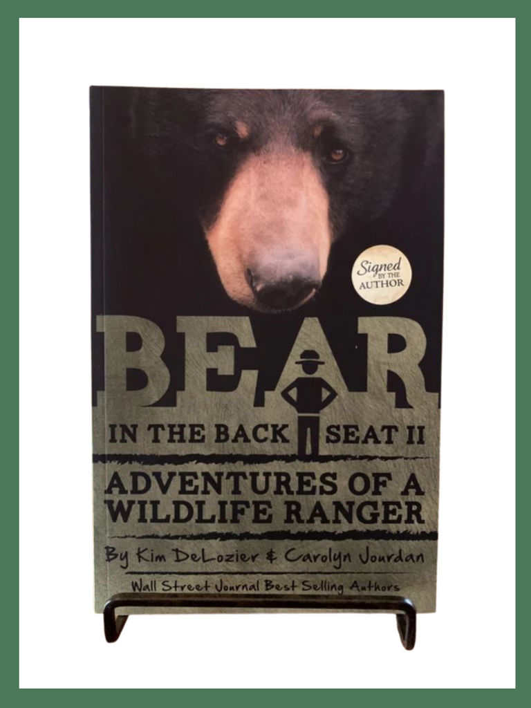 Bear in the Back Seat by Kim DeLozier