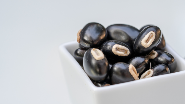 Mucuna pruriens can increase dopamine levels. Shown here as a whole bean in a square, white bowl.