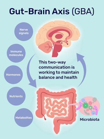 Gut-brain connection and its role in ADHD