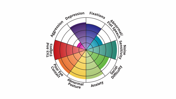 Spektrum autisme digambarkan sebagai roda warna