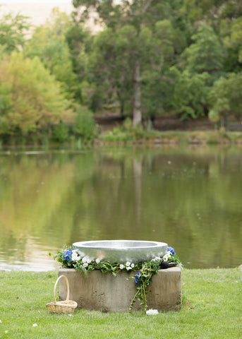 Pond Arrangement